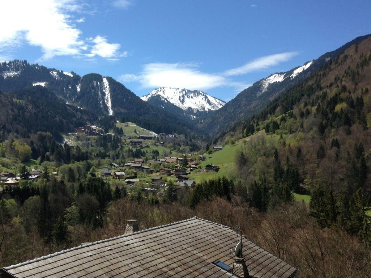 Chalet La Grande Vue Saint-Jean-dʼAulps 外观 照片