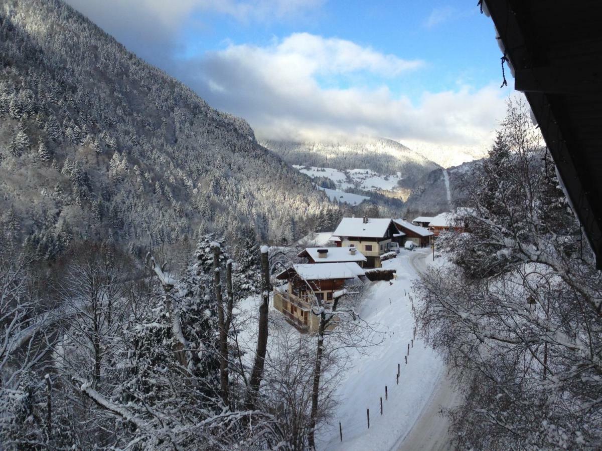 Chalet La Grande Vue Saint-Jean-dʼAulps 外观 照片
