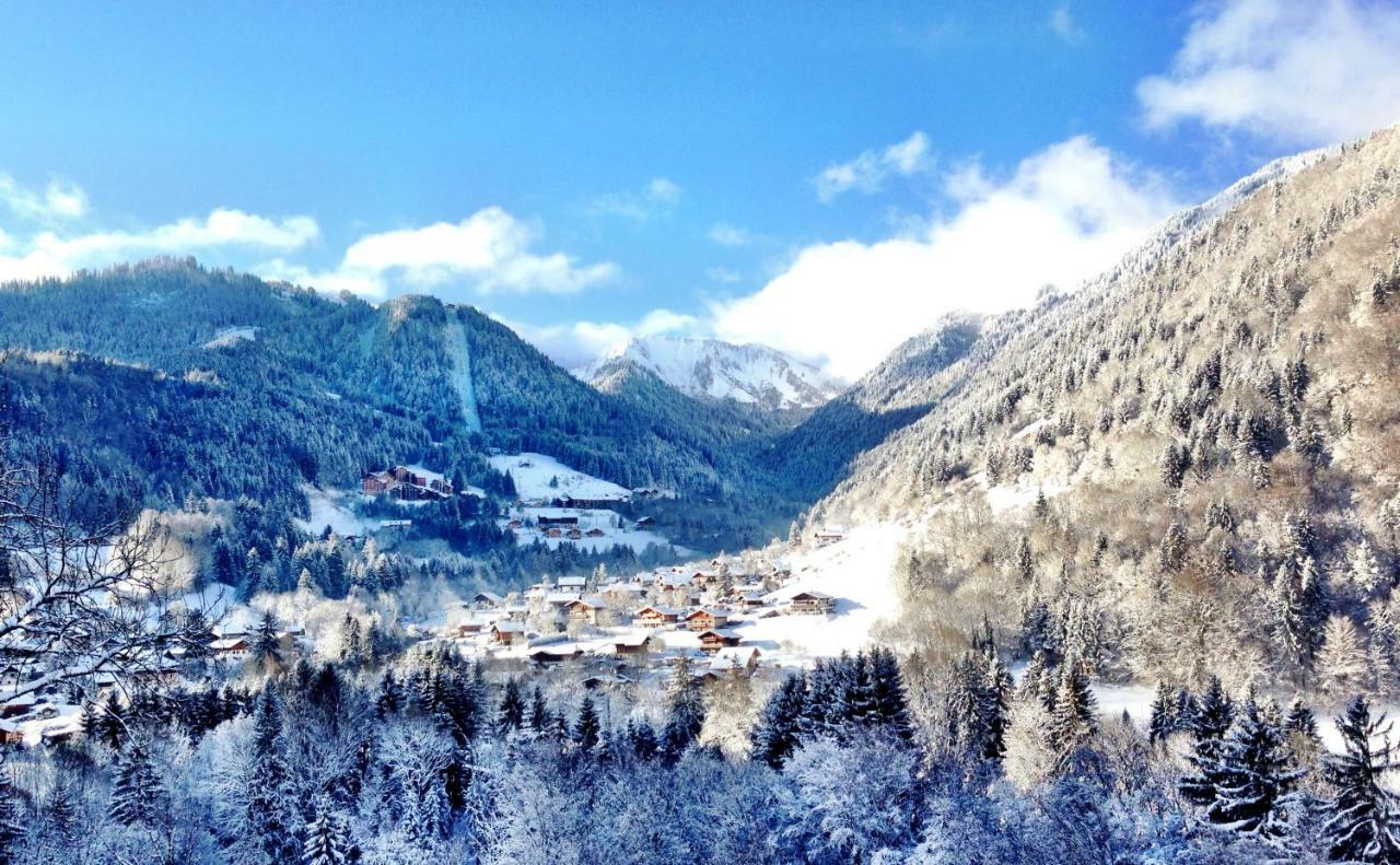 Chalet La Grande Vue Saint-Jean-dʼAulps 外观 照片