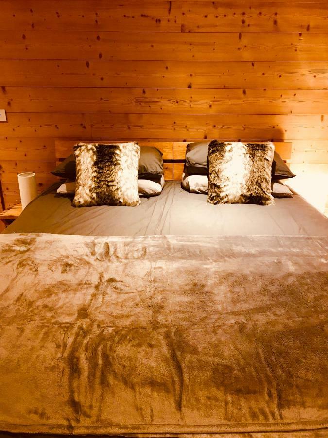Chalet La Grande Vue Saint-Jean-dʼAulps 外观 照片